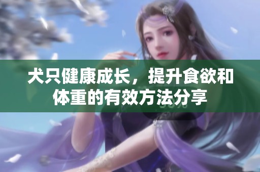 犬只健康成长，提升食欲和体重的有效方法分享