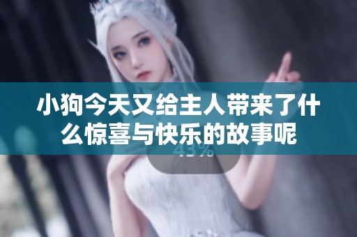 小狗今天又给主人带来了什么惊喜与快乐的故事呢