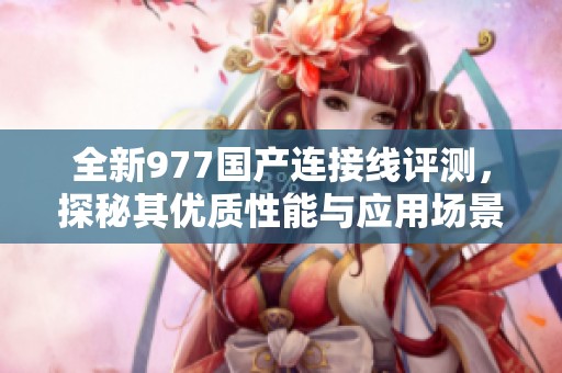 全新977国产连接线评测，探秘其优质性能与应用场景