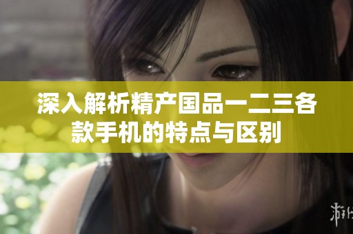 深入解析精产国品一二三各款手机的特点与区别