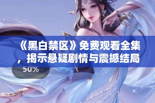 《黑白禁区》免费观看全集，揭示悬疑剧情与震撼结局详解