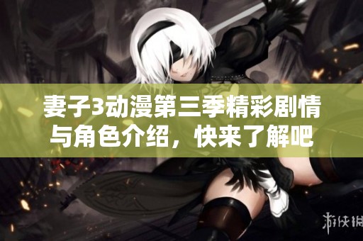 妻子3动漫第三季精彩剧情与角色介绍，快来了解吧