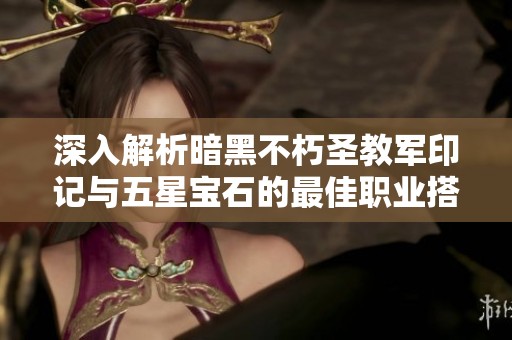 深入解析暗黑不朽圣教军印记与五星宝石的最佳职业搭配