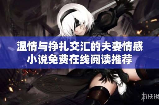 温情与挣扎交汇的夫妻情感小说免费在线阅读推荐