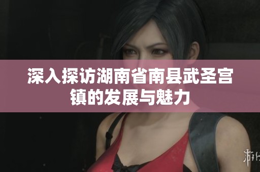 深入探访湖南省南县武圣宫镇的发展与魅力