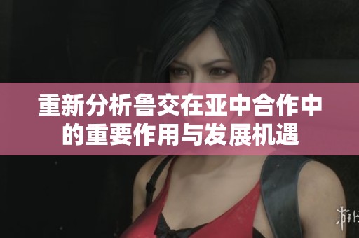 重新分析鲁交在亚中合作中的重要作用与发展机遇