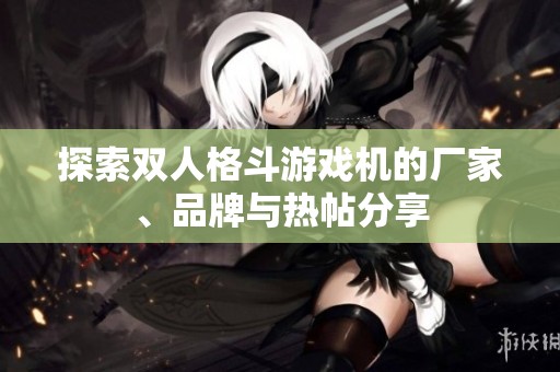 探索双人格斗游戏机的厂家、品牌与热帖分享