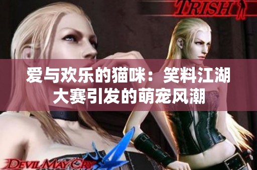 爱与欢乐的猫咪：笑料江湖大赛引发的萌宠风潮