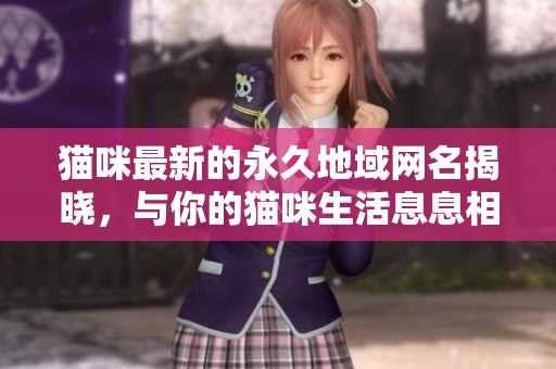 猫咪最新的永久地域网名揭晓，与你的猫咪生活息息相关