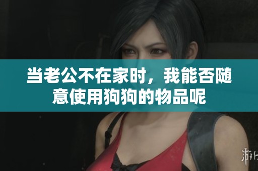 当老公不在家时，我能否随意使用狗狗的物品呢