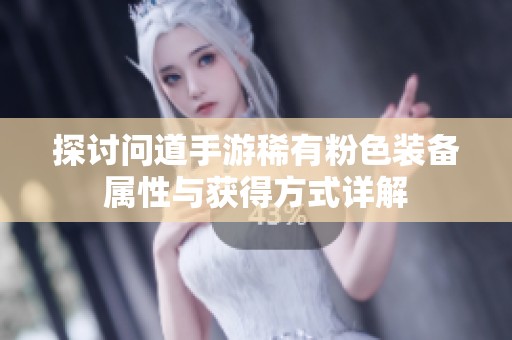探讨问道手游稀有粉色装备属性与获得方式详解