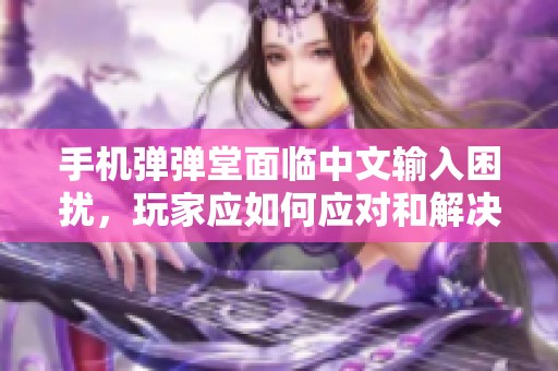 手机弹弹堂面临中文输入困扰，玩家应如何应对和解决