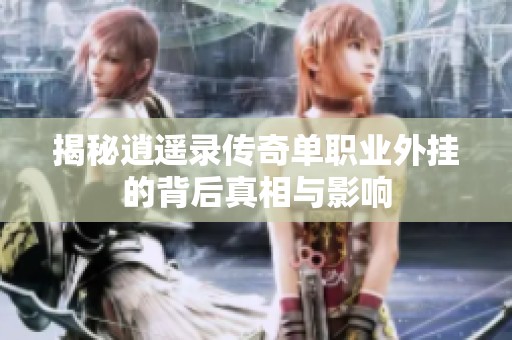 揭秘逍遥录传奇单职业外挂的背后真相与影响