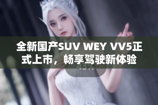全新国产SUV WEY VV5正式上市，畅享驾驶新体验