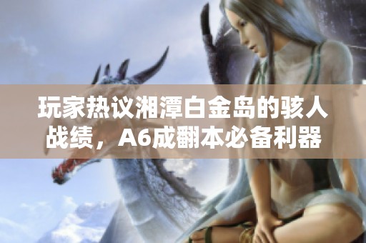 玩家热议湘潭白金岛的骇人战绩，A6成翻本必备利器