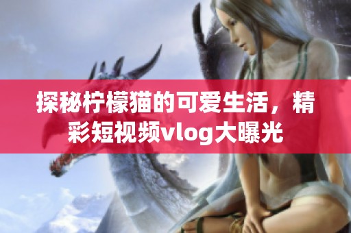 探秘柠檬猫的可爱生活，精彩短视频vlog大曝光