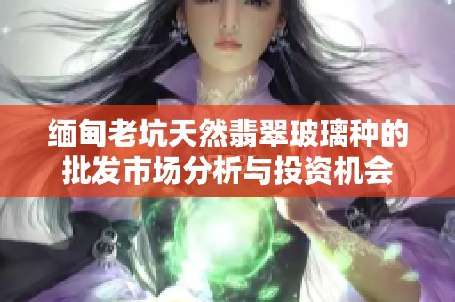 缅甸老坑天然翡翠玻璃种的批发市场分析与投资机会