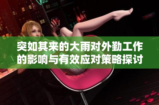 突如其来的大雨对外勤工作的影响与有效应对策略探讨