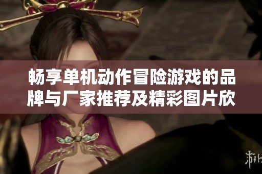 畅享单机动作冒险游戏的品牌与厂家推荐及精彩图片欣赏