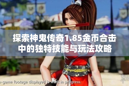 探索神鬼传奇1.85金币合击中的独特技能与玩法攻略