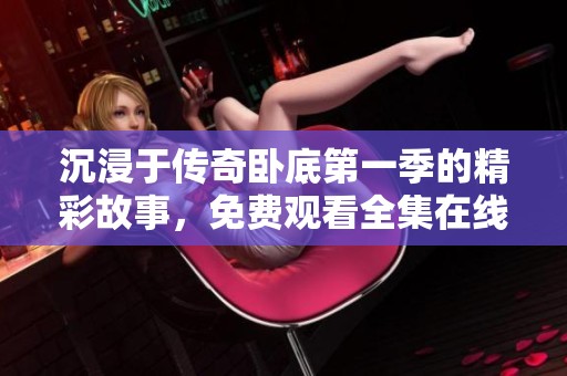 沉浸于传奇卧底第一季的精彩故事，免费观看全集在线播放地址