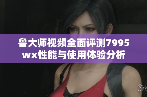 鲁大师视频全面评测7995wx性能与使用体验分析