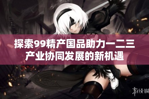 探索99精产国品助力一二三产业协同发展的新机遇