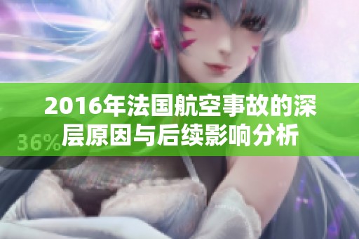 2016年法国航空事故的深层原因与后续影响分析
