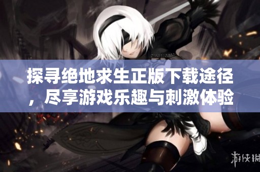 探寻绝地求生正版下载途径，尽享游戏乐趣与刺激体验