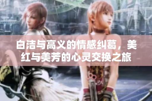 白洁与高义的情感纠葛，美红与美芳的心灵交换之旅
