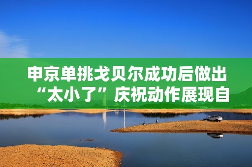 申京单挑戈贝尔成功后做出“太小了”庆祝动作展现自信风采