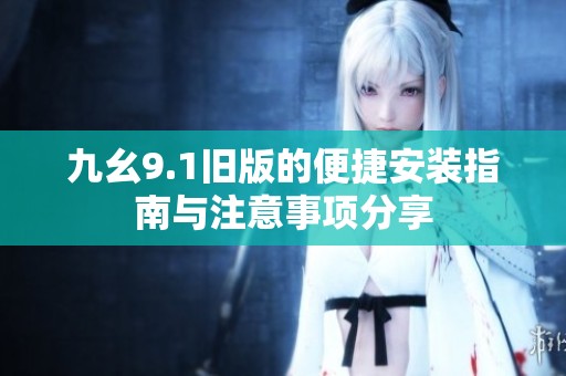 九幺9.1旧版的便捷安装指南与注意事项分享