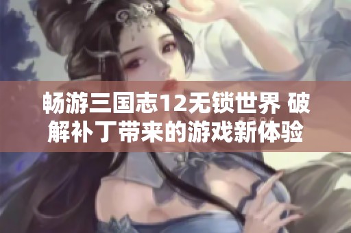 畅游三国志12无锁世界 破解补丁带来的游戏新体验