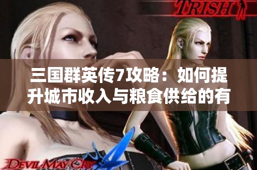 三国群英传7攻略：如何提升城市收入与粮食供给的有效策略分享
