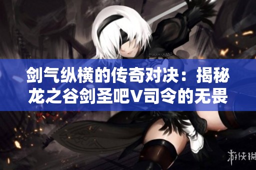 剑气纵横的传奇对决：揭秘龙之谷剑圣吧V司令的无畏PK历程与辉煌荣耀