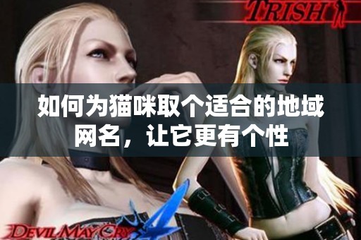 如何为猫咪取个适合的地域网名，让它更有个性