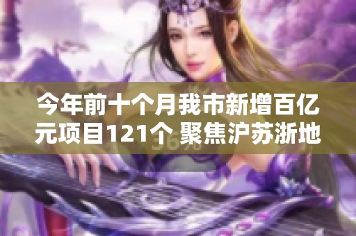 今年前十个月我市新增百亿元项目121个 聚焦沪苏浙地区经济合作与发展