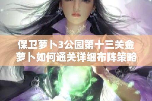 保卫萝卜3公园第十三关金萝卜如何通关详细布阵策略与图解解析