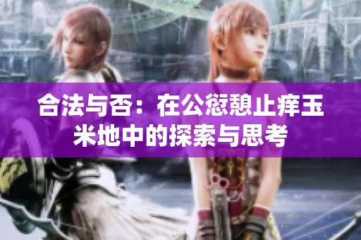 合法与否：在公愆憩止痒玉米地中的探索与思考