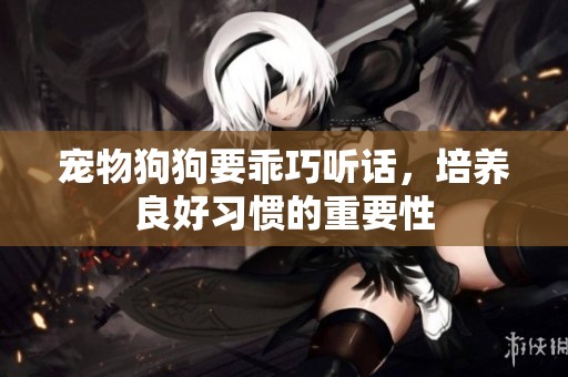 宠物狗狗要乖巧听话，培养良好习惯的重要性