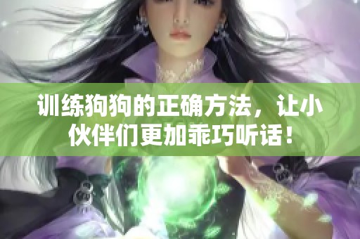 训练狗狗的正确方法，让小伙伴们更加乖巧听话！