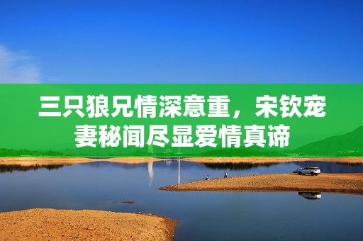 三只狼兄情深意重，宋钦宠妻秘闻尽显爱情真谛