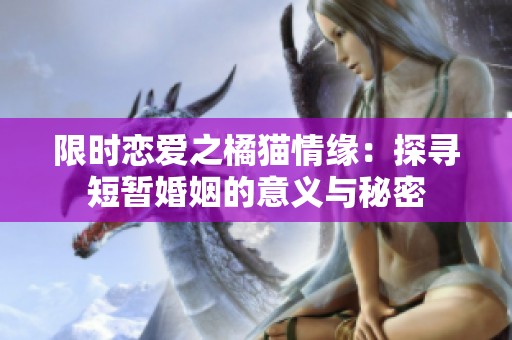 限时恋爱之橘猫情缘：探寻短暂婚姻的意义与秘密