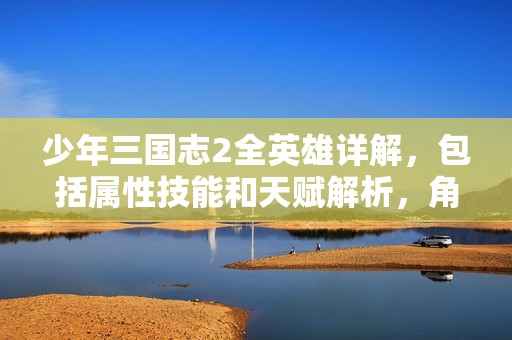 少年三国志2全英雄详解，包括属性技能和天赋解析，角色分析让你更了解他们