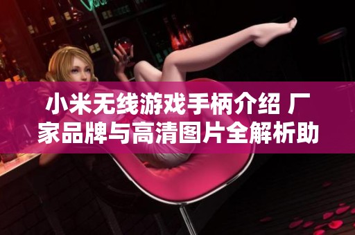 小米无线游戏手柄介绍 厂家品牌与高清图片全解析助你畅玩游戏世界