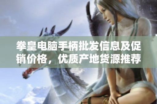 拳皇电脑手柄批发信息及促销价格，优质产地货源推荐确保游戏体验提升