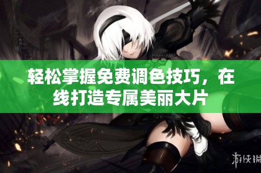 轻松掌握免费调色技巧，在线打造专属美丽大片