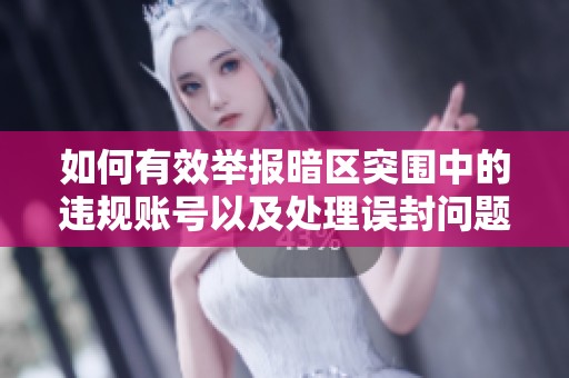如何有效举报暗区突围中的违规账号以及处理误封问题的全面指南