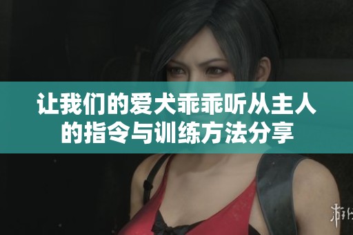 让我们的爱犬乖乖听从主人的指令与训练方法分享