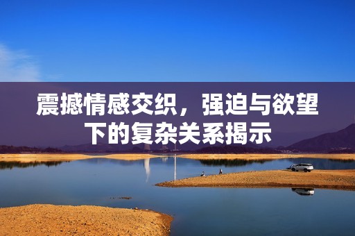 震撼情感交织，强迫与欲望下的复杂关系揭示